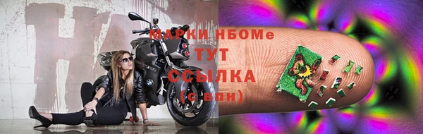 стаф Балахна