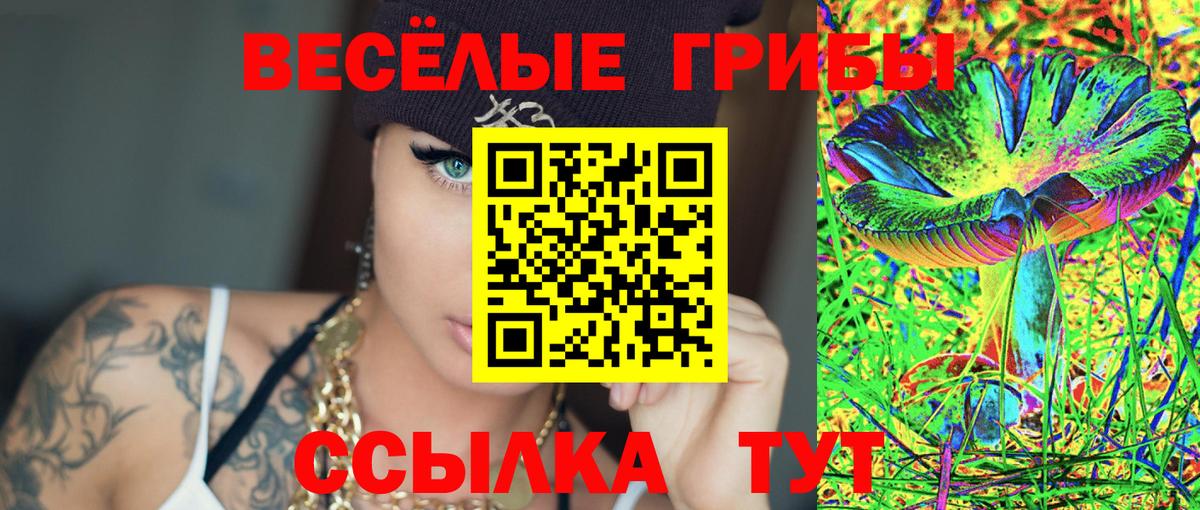 Баксан  Псилоцибиновые грибы MAGIC MUSHROOMS  Вход с VPN 
