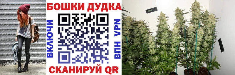 сколько стоит  Баксан  mega рабочий сайт  Шишки марихуана Amnesia 